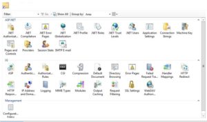 Feature View in IIS Application